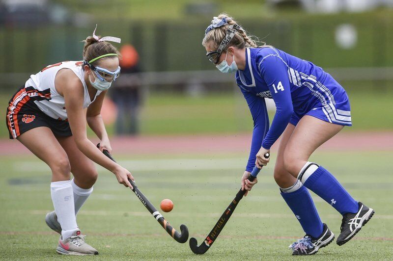 Danvers hockey starts off season strong, Beverly adds